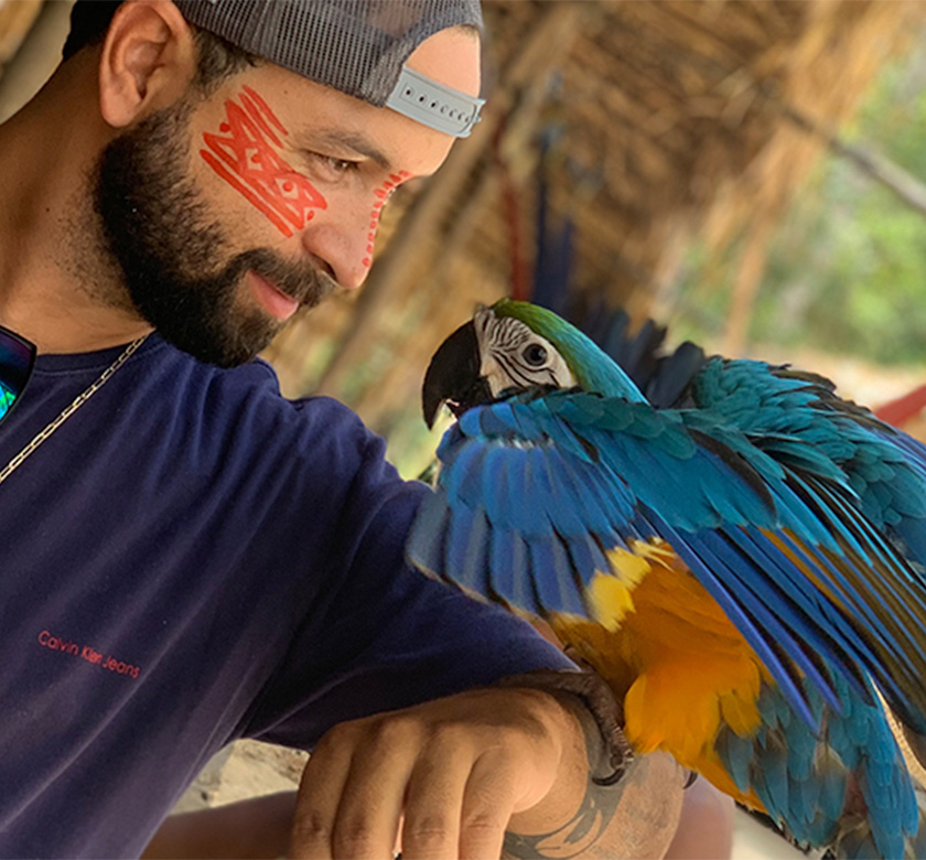 Arara