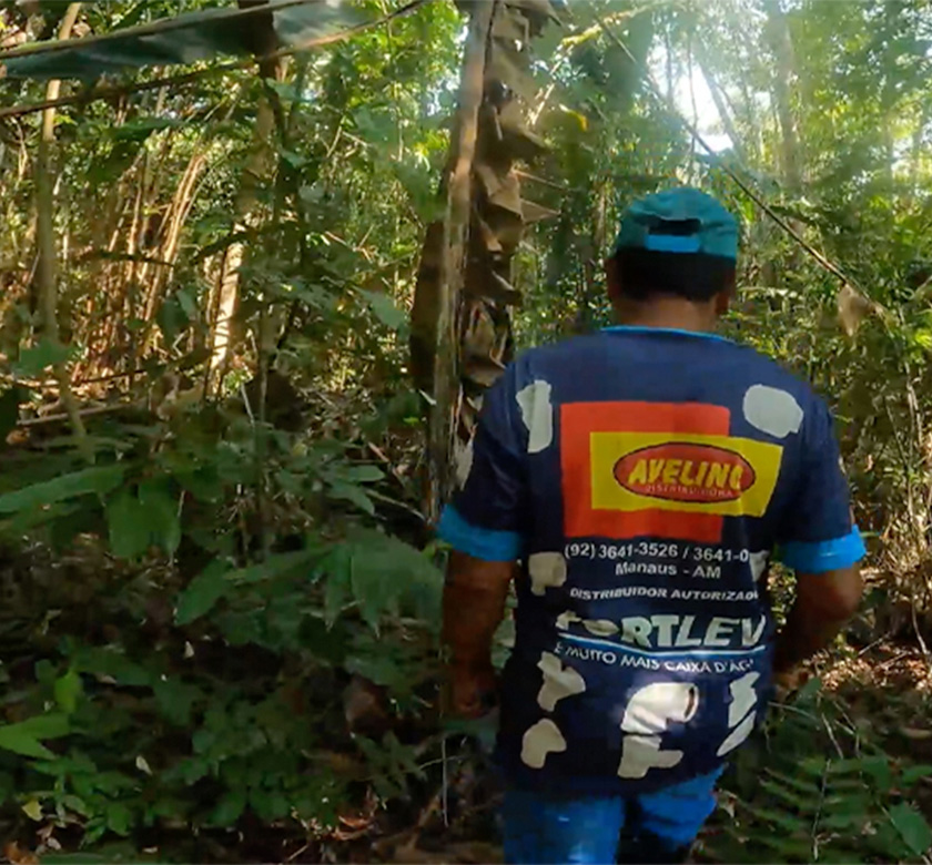 Jungle Hike