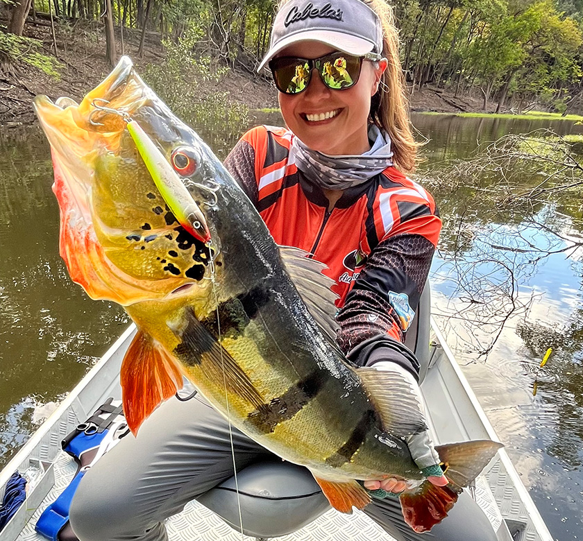 PeacockBass-Sarasara
