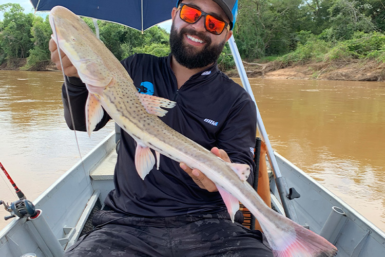 Bargada Catfish