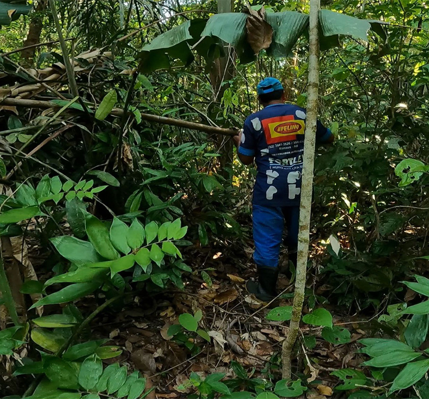 ecotourism-hero-bg